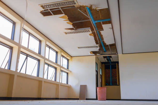 Best Water damage restoration near me  in Sumas, WA