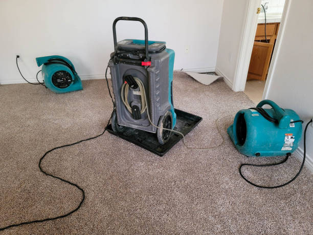 Best Flooded house restoration  in Sumas, WA
