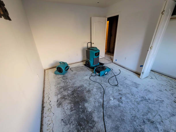 Best Flood damage cleanup  in Sumas, WA