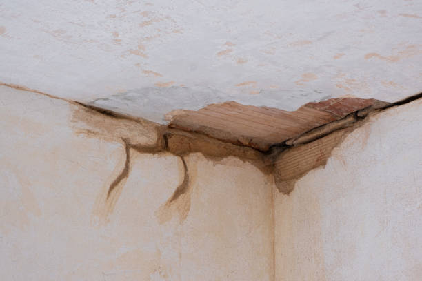 Best 24/7 water damage repair  in Sumas, WA