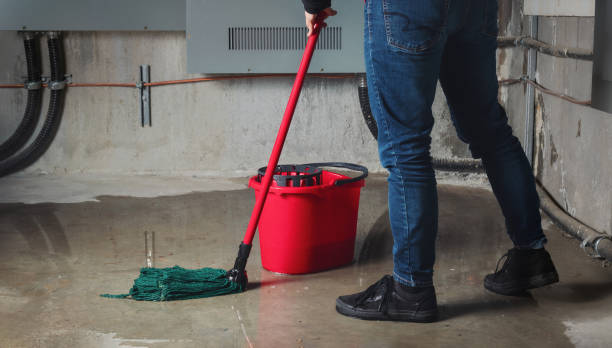Best Fire Damage Restoration  in Sumas, WA
