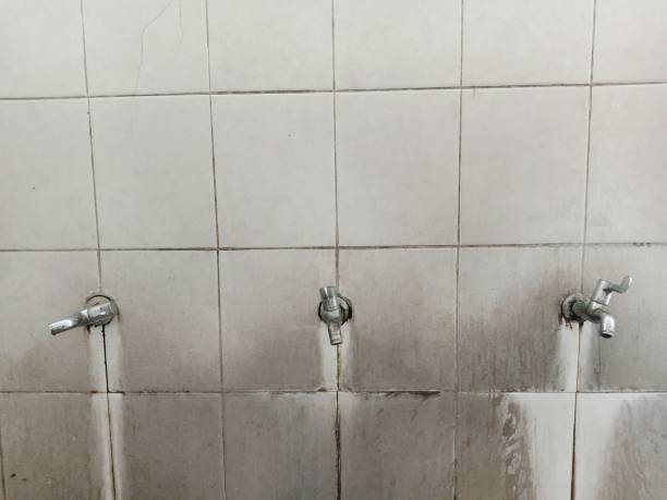 Best Mold removal after water damage  in Sumas, WA