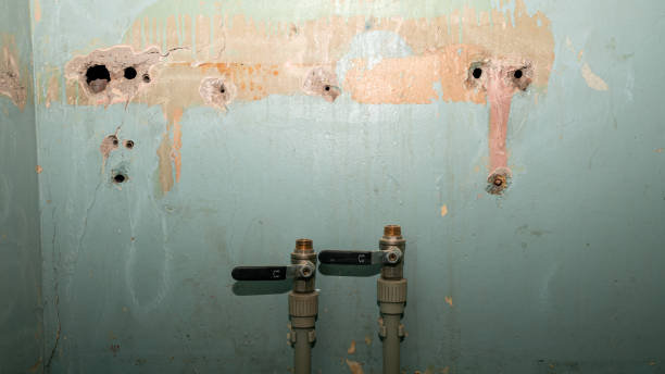 Best Sewage cleanup and water damage restoration  in Sumas, WA