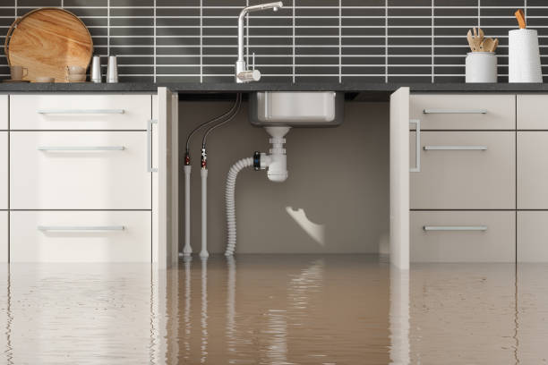 Best Ceiling water damage repair  in Sumas, WA