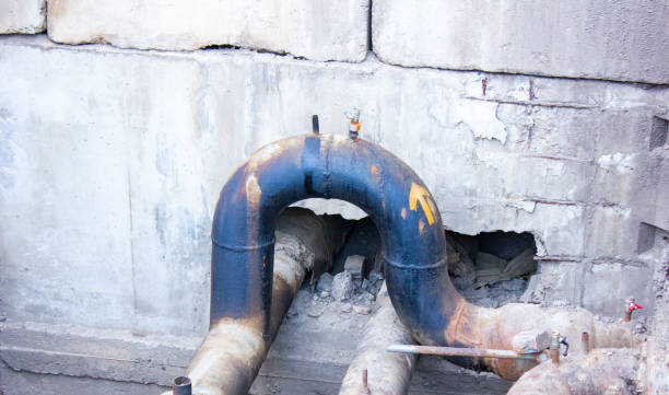 Best Professional water damage repair  in Sumas, WA