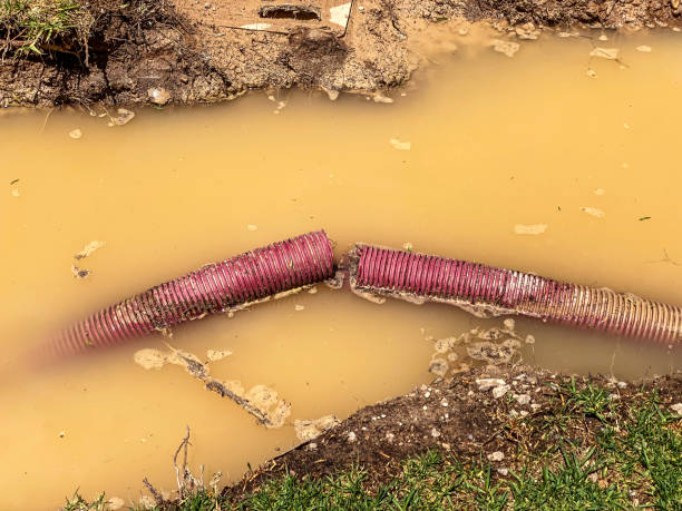 Reliable Sumas, WA Water damage restoration Solutions
