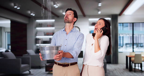 Best Water damage restoration near me  in Sumas, WA